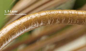 F Layer of hair strand